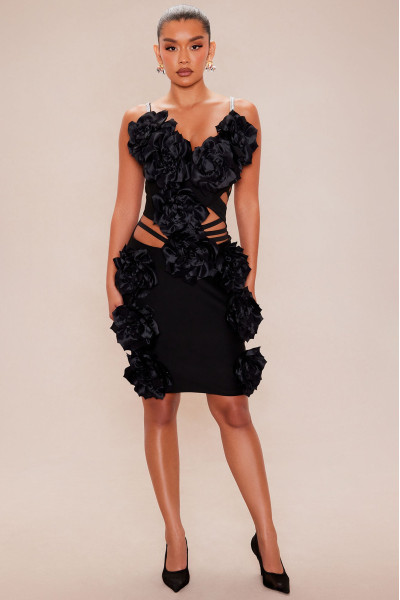 Міді-сукня Рейвен зі стразами та квітковою аплікацією